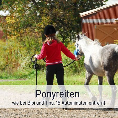 Natur-Chalet Zum Nationalpark Franz Inkl. E-Auto Allenbach Luaran gambar