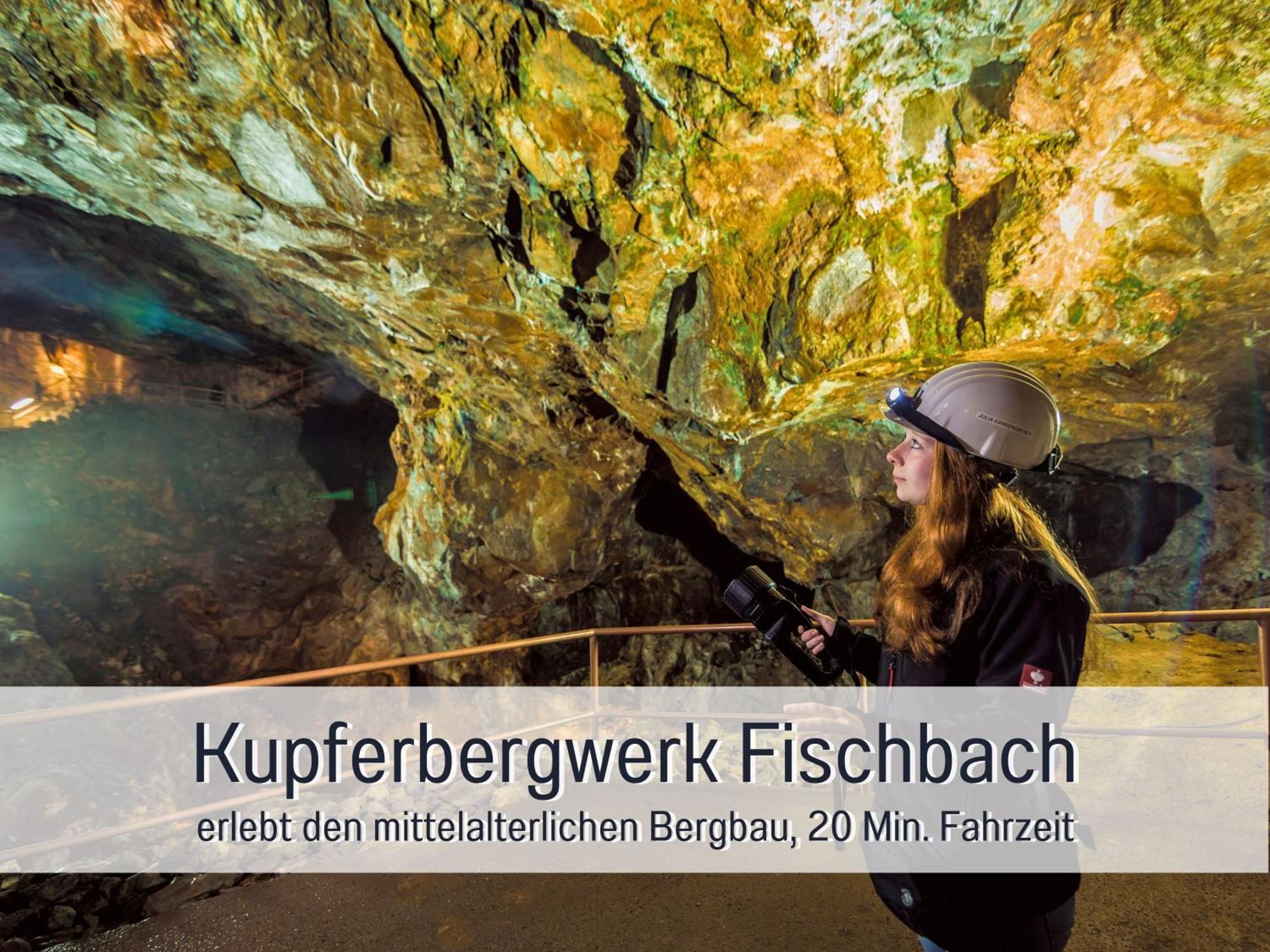 Natur-Chalet Zum Nationalpark Franz Inkl. E-Auto Allenbach Luaran gambar