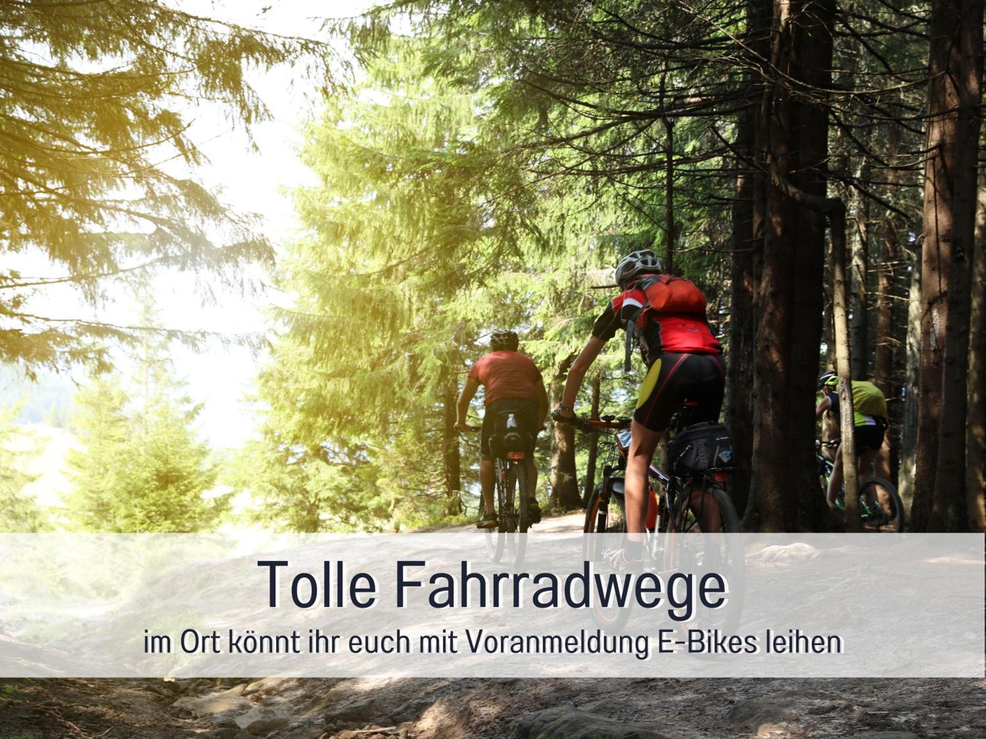 Natur-Chalet Zum Nationalpark Franz Inkl. E-Auto Allenbach Luaran gambar