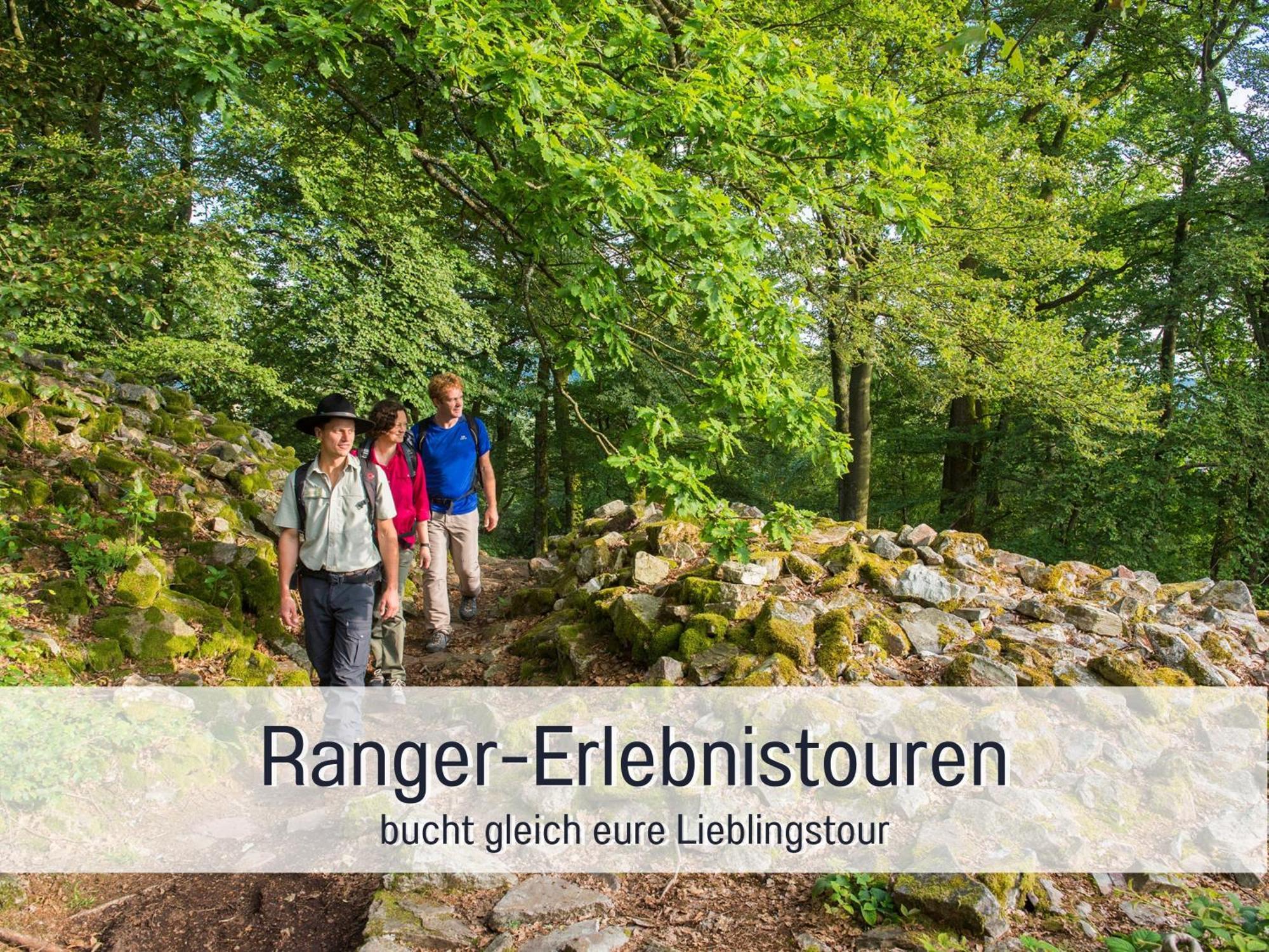 Natur-Chalet Zum Nationalpark Franz Inkl. E-Auto Allenbach Luaran gambar